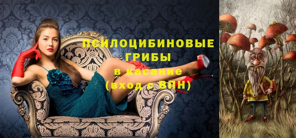 тгк Надым