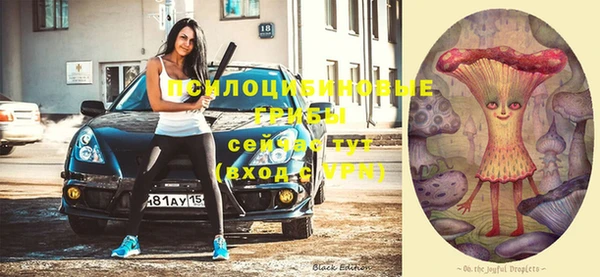 соль курить ск Нея